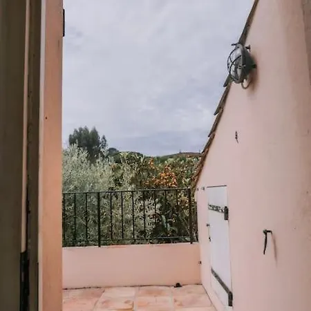 La Mandragore * Сен-Тропе