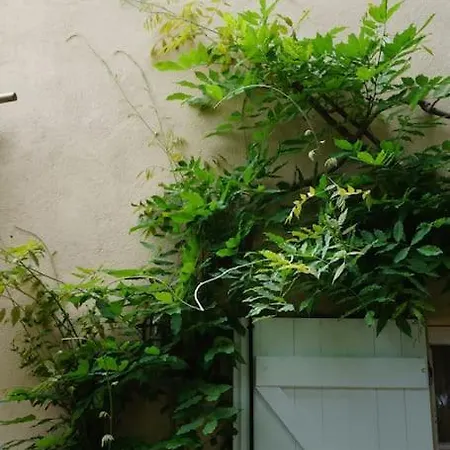 La Mandragore Вілла Сен-Тропе