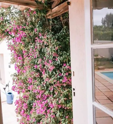 La Mandragore Villa *