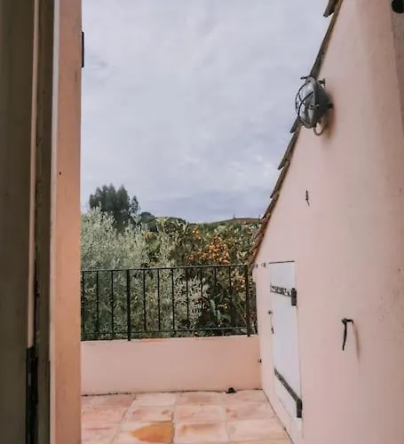 La Mandragore * Saint-Tropez