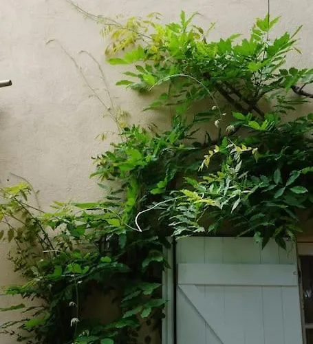 La Mandragore Villa Saint-Tropez