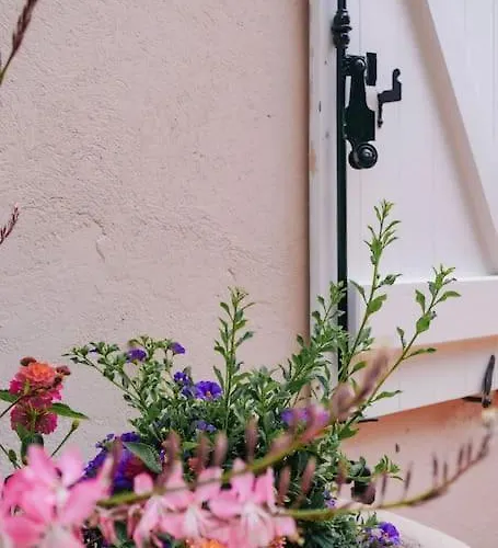 La Mandragore * Saint-Tropez