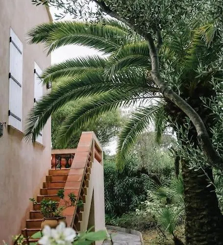 La Mandragore Saint-Tropez