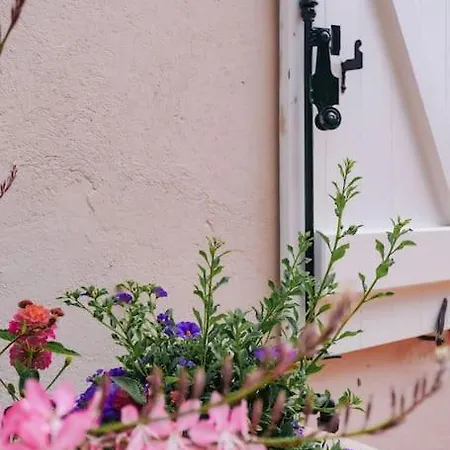 La Mandragore * サントロペ