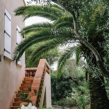 La Mandragore サントロペ