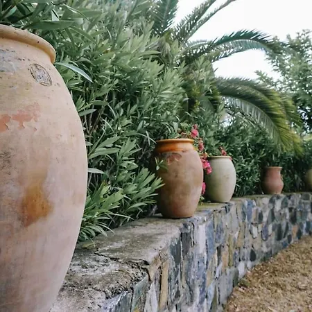 La Mandragore Villa Saint-Tropez