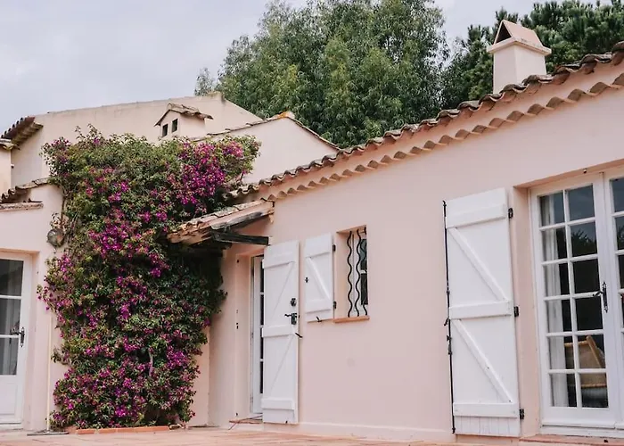 La Mandragore Saint-Tropez