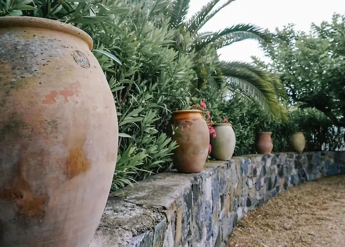 La Mandragore Villa Saint-Tropez